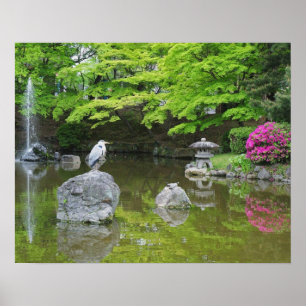 Poster Japão, Quioto. Herão em folhas verdes frescas