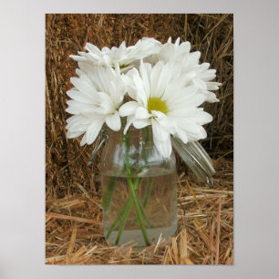 Poster Jar Of Daisies & Hay