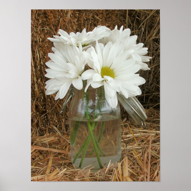 Poster Jar Of Daisies & Hay (Frente)