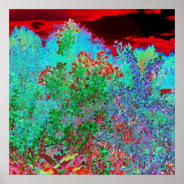 Poster Jardim Abstrato Colorido com Crimson Sunset (Frente)