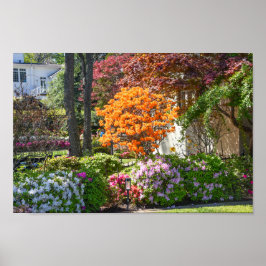Poster Jardim Azalea Trail em Tyler, Texas