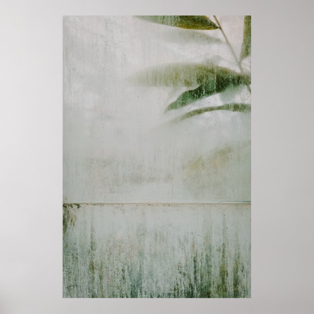 Poster Jardim botânico de São Francisco (Frente)