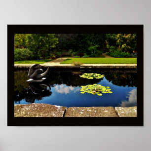 Pôster Jardim da escultura