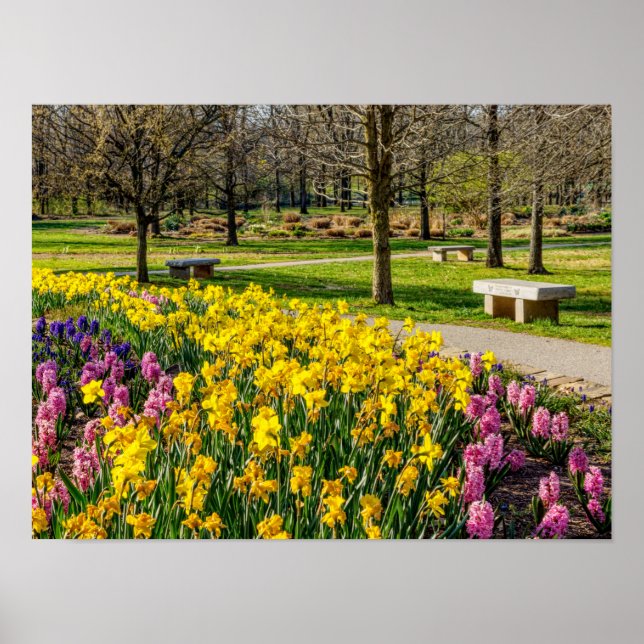 Poster Jardim da Flor da primavera (Frente)