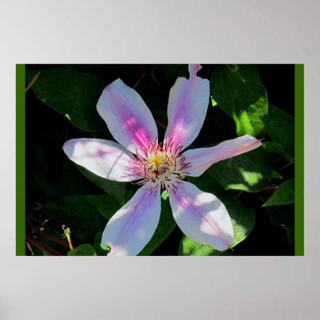 Pôster Jardim da Flor de mães (Frente)