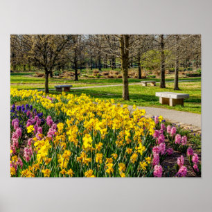 Poster Jardim da Flor primavera