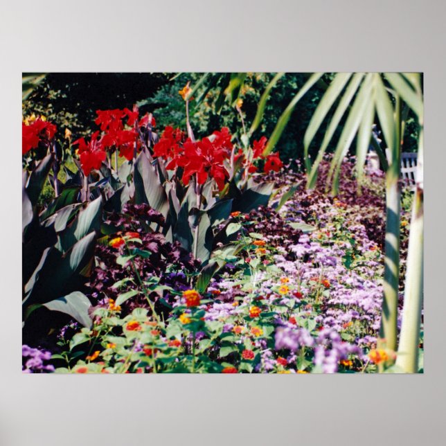 Poster Jardim de cura (Frente)