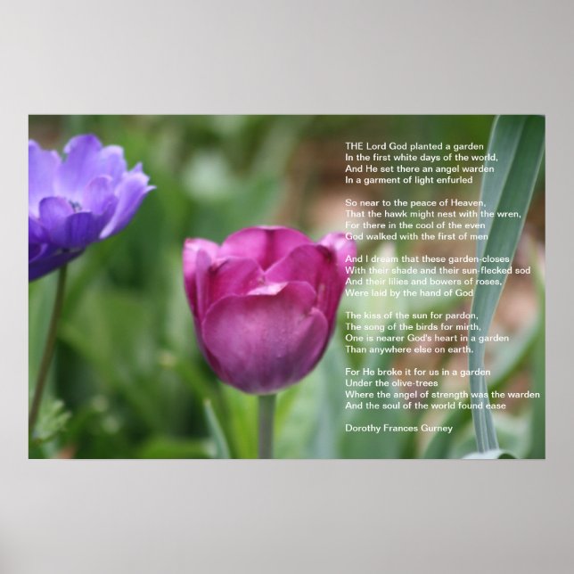 Pôster Jardim de Deus (Frente)