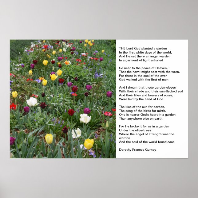 Poster Jardim de Deus (Frente)