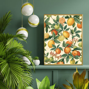 Poster Jardim de Flor de Citrus Padrão Sem Costura