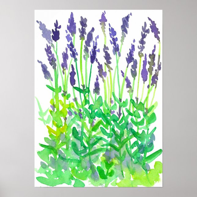 Poster Jardim de Flor de Lavanda de Água (Frente)