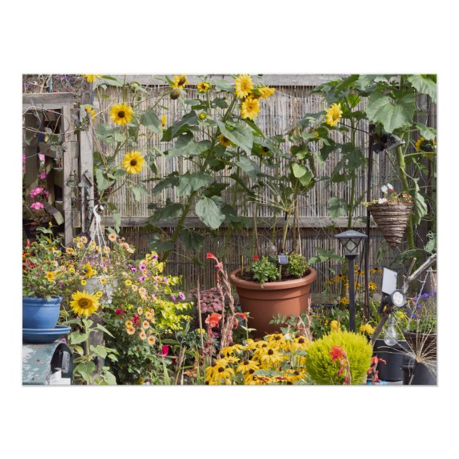 Pôster Jardim de flores e barco estreito (Frente)