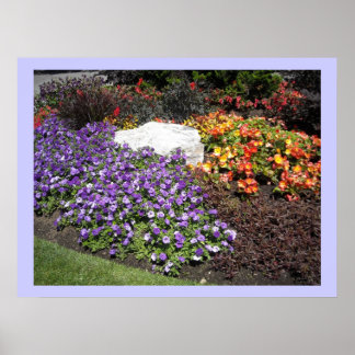 Pôster Jardim de Flores Elegante
