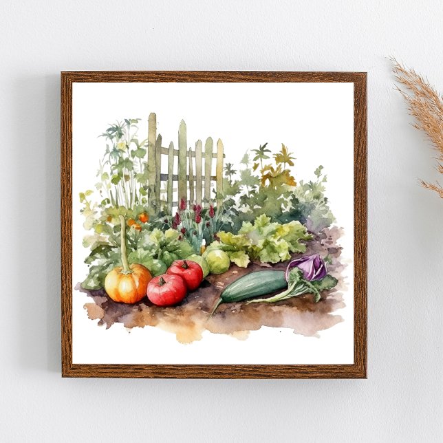 Poster Jardim de Legumes com Cerca Aquarela (Watercolor Vegetable Garden Wall Art.)
