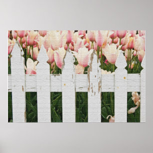 Pôster Jardim de Tulipas Rosa Holandesa