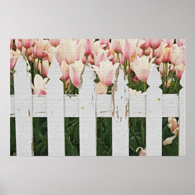 Pôster Jardim de Tulipas Rosa Holandesa (Frente)