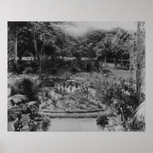Pôster Jardim de uma casa de campo suburbana