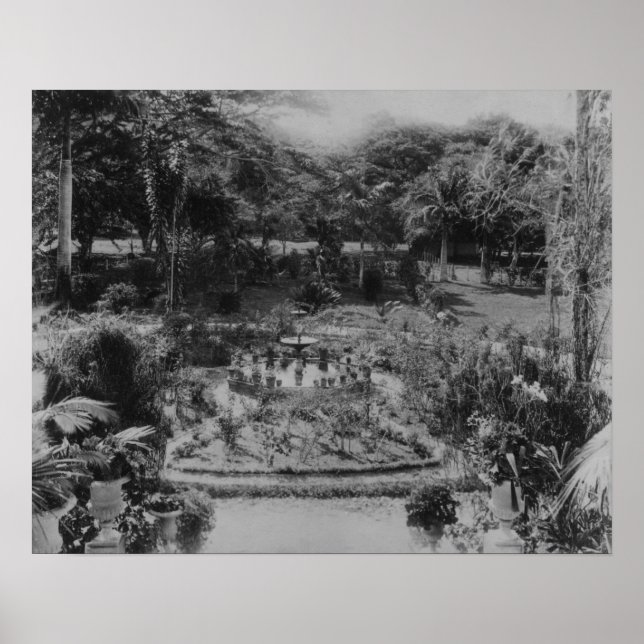 Pôster Jardim de uma Vila Suburbana (Frente)