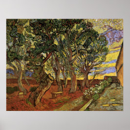 Poster Jardim do Hospital Santo-Paul de Vincent van Gogh