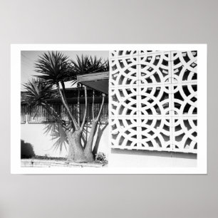 Pôster Jardim do meio século