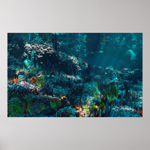 Poster Jardim do Nemo