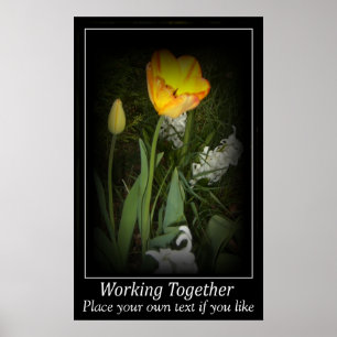 Pôster Jardim do primavera da tulipa que trabalha junto a