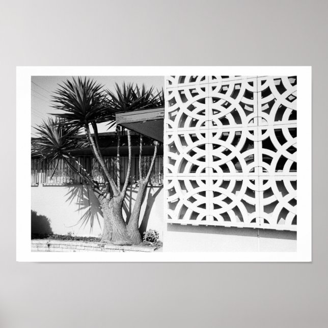 Pôster Jardim do século médio (Frente)