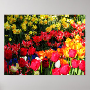 Pôster Jardim ensolarado