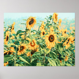 Poster Jardim Floral Amarelo de Sunflower