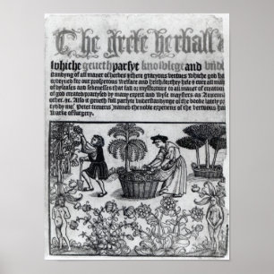 Poster Jardim Herb Medieval