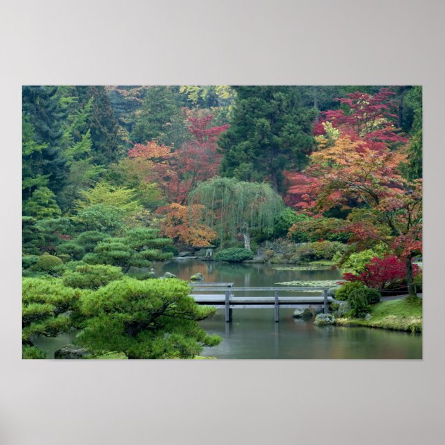Pôster Jardim Japonês no Washington Park (Frente)