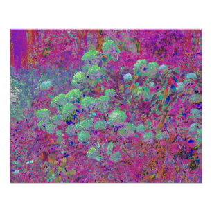 Pôster Jardim Magenta com Flores de Hortênsia Aqua