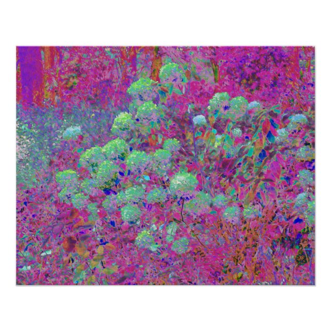 Pôster Jardim Magenta com Flores de Hortênsia Aqua (Frente)