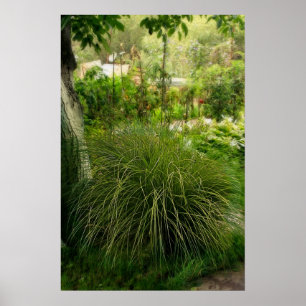 Poster Jardim mágico do verão