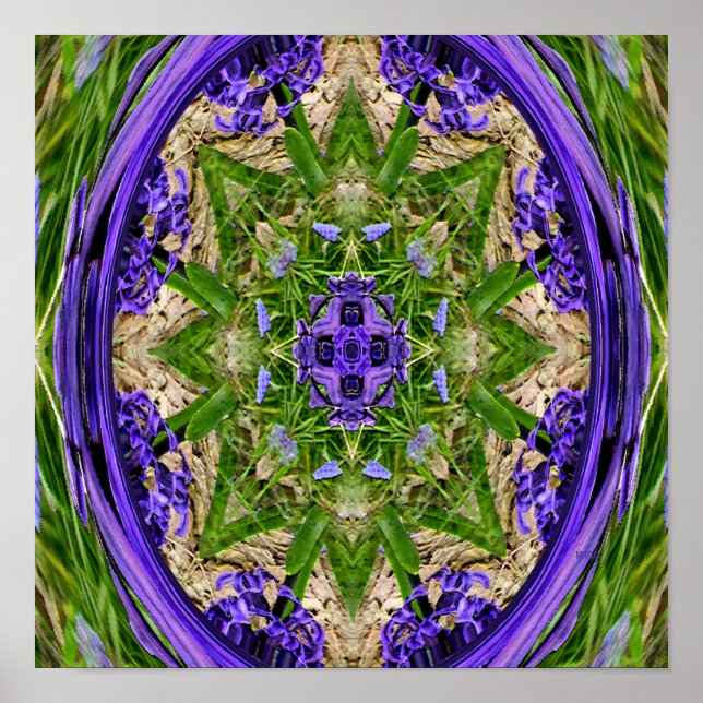 Poster Jardim Narciso..... (Frente)
