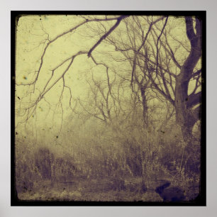 Poster Jardim Secreto