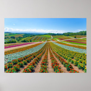 Poster Jardim Shikisai nenhuma fazenda da flor de Oka