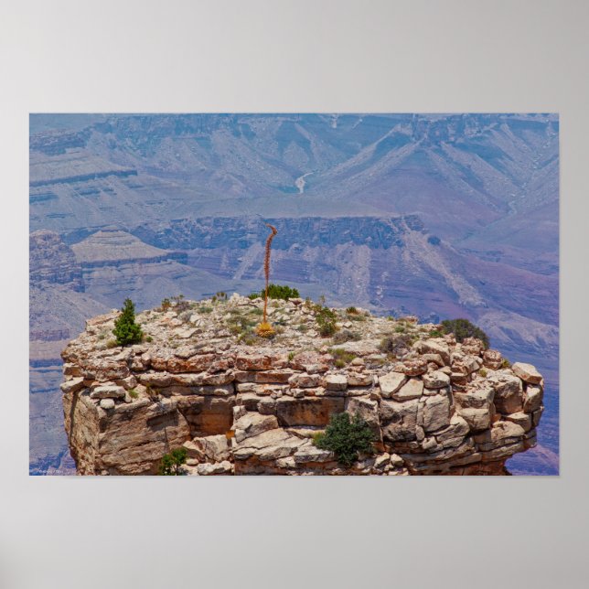 Poster Jardim Superior (Frente)