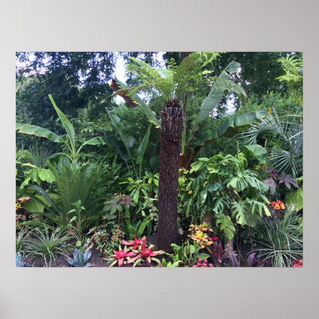 Poster Jardim Tropical (Frente)