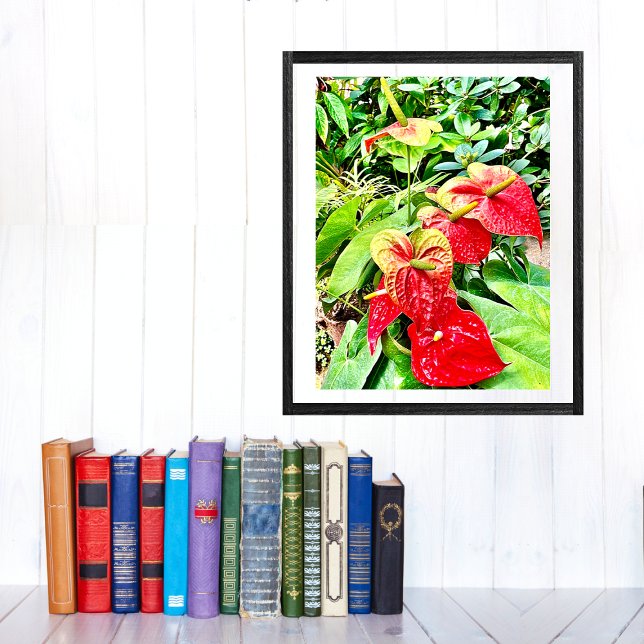 Poster Jardim Tropical de Flor Vermelho (Criador carregado)