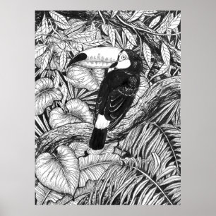 Poster Jardim tropical tucano