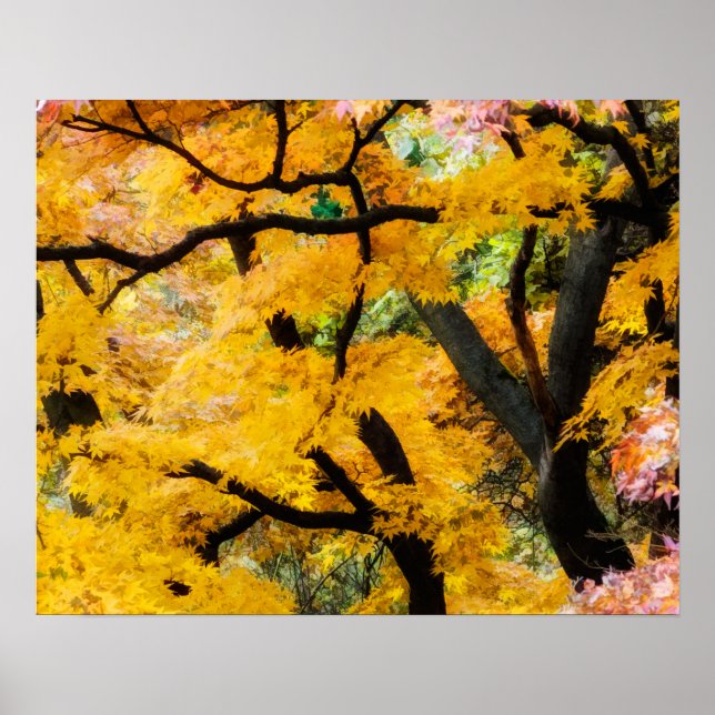 Poster Jardim Zen Vibrante (Frente)