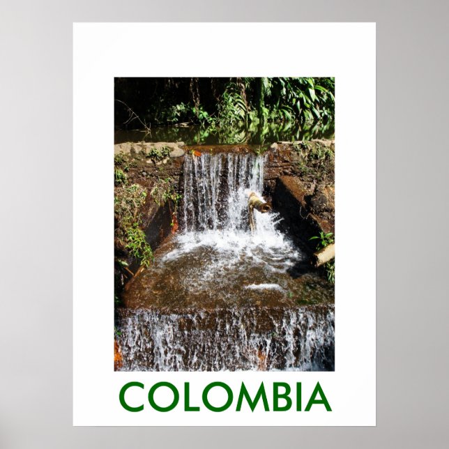 PÔSTER JARDIN BOTANICO, MARSELLA (Frente)