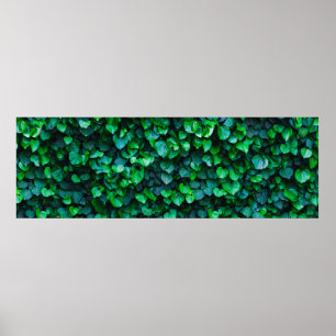 Poster Jardinagem interior da selva urbana