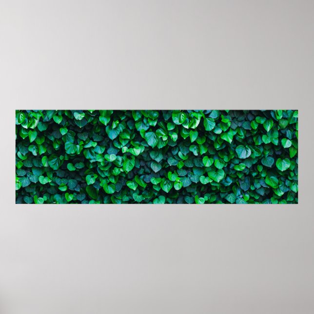 Poster Jardinagem interior da selva urbana (Frente)