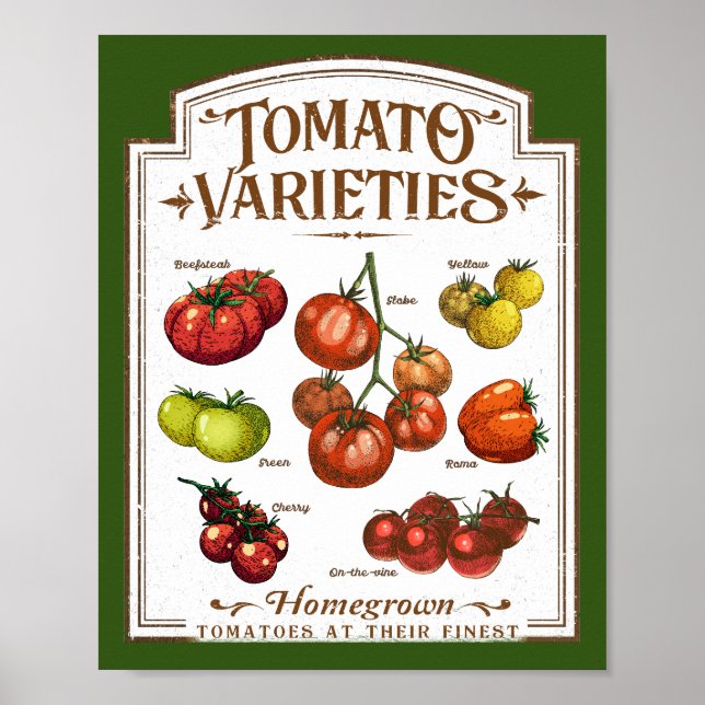 Poster Jardineiro de tomate, Horticultura de tomate (Frente)