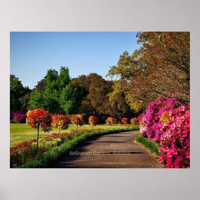 Poster Jardins Bellingrath, Alabama (Frente)