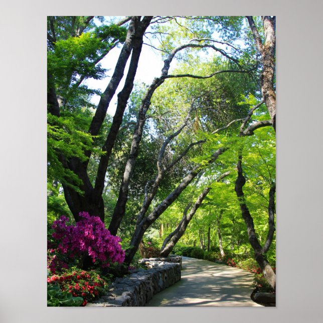 Pôster Jardins Botânicos, Caminho, Árvores Mapeadas (Frente)