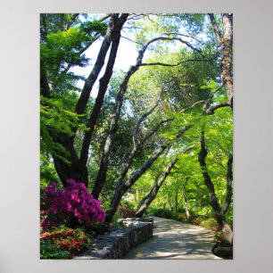 Pôster Jardins botânicos, trajeto, árvores de bordo