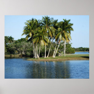 Poster Jardins botânicos tropicais de Fairchild